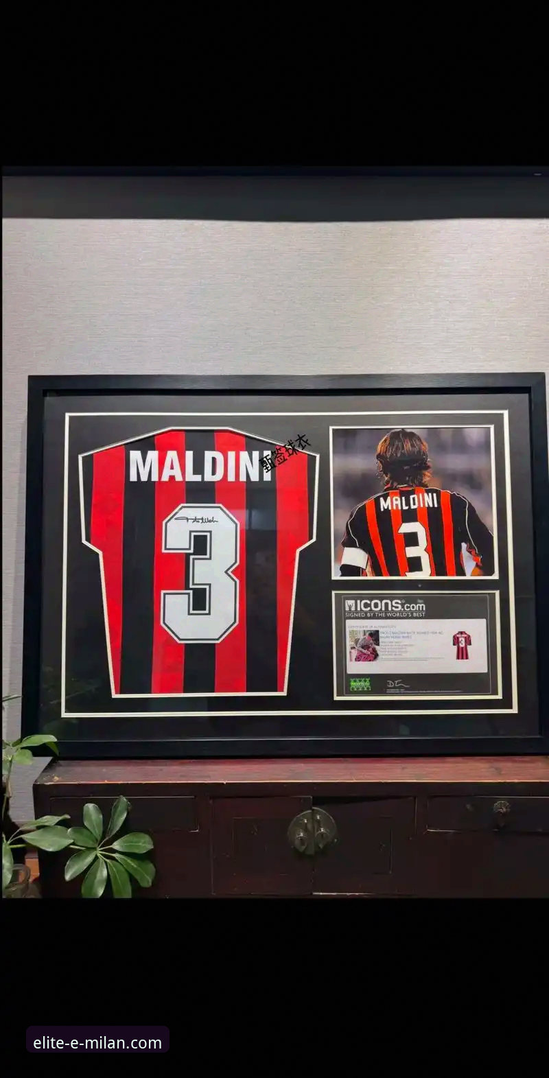 米兰队徽含义 米兰队徽含义详解:红黑盾牌背后的百年荣耀